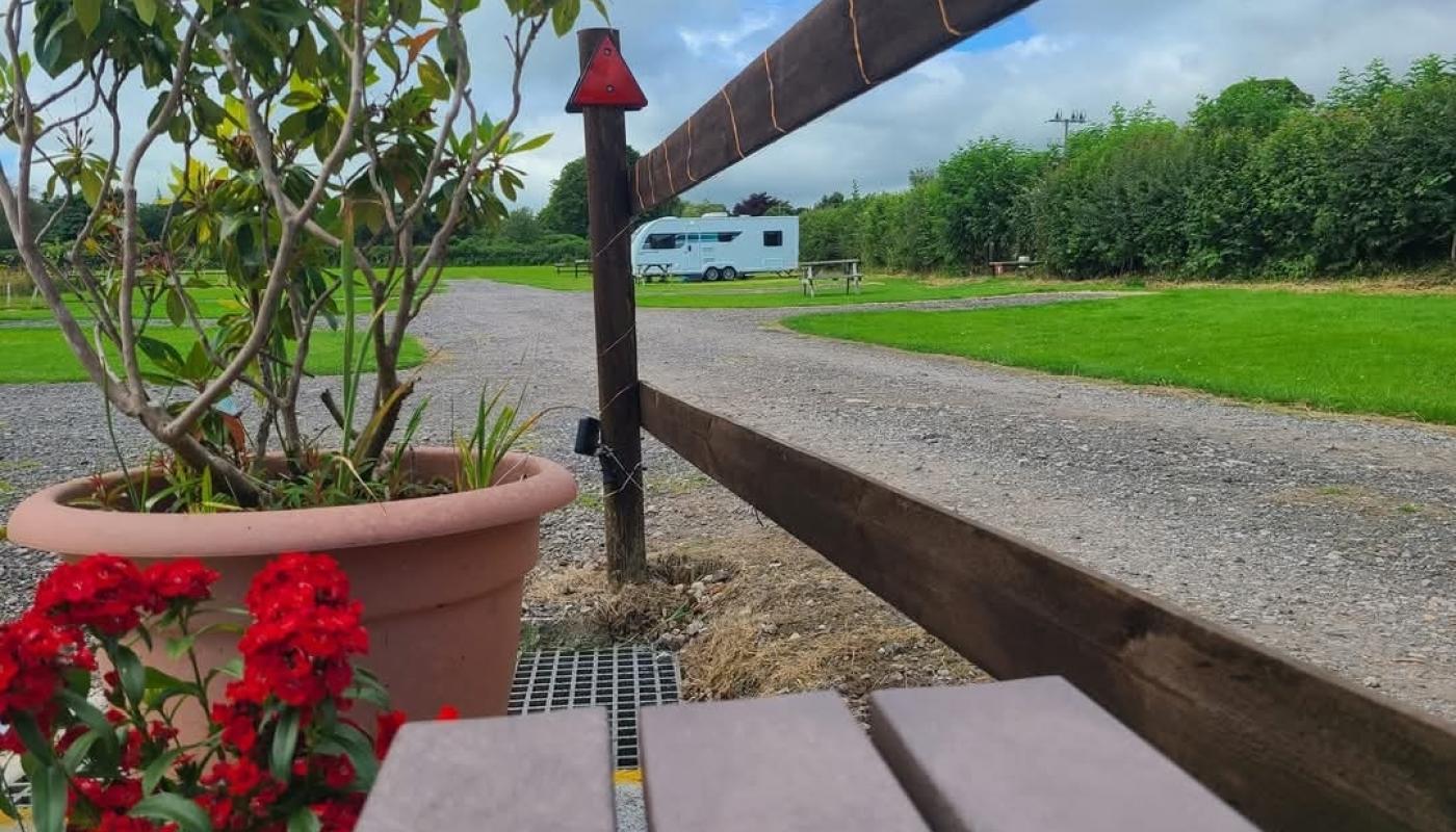 Flowers with a caravan in the background